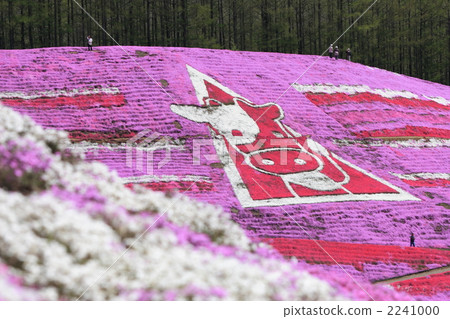 Toigo-koto馬賽克櫻桃公園的奶牛標記02 2241000