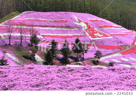 Hisashimo和Shiba Sakura Park 02 2241033