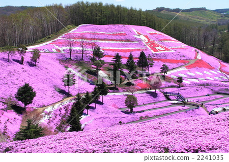 Hisashimo和shiba櫻桃公園01 2241035