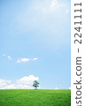 草原樹木 2241111