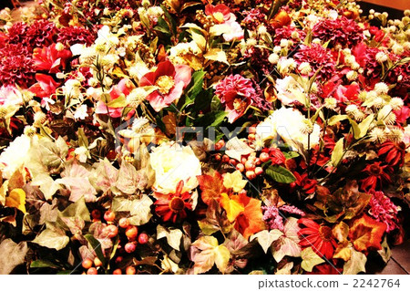 Flower garden 2242764