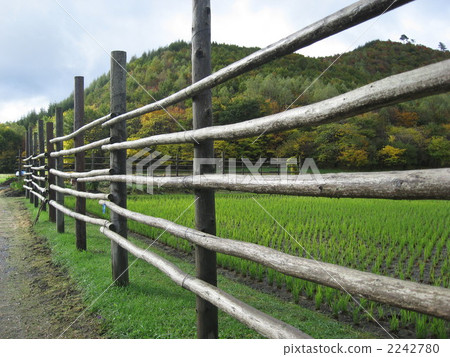 Rice hanging fence 2242780