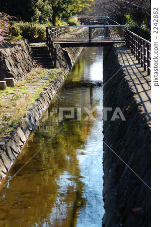 Branch area water 2242882