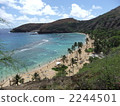 hanauma bay, oahu, distant view 2244501