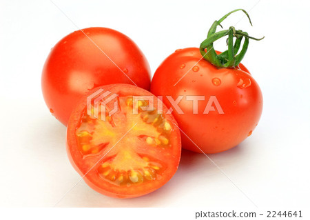 Petty Tomato 2244641