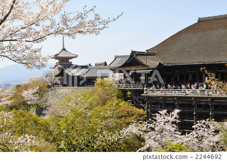 清水寺的櫻花 2244692