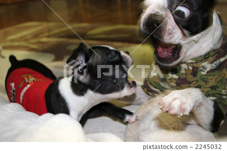 不要生氣...... 不要生氣...... 2245032