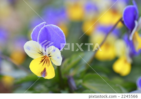 lifting, up, blur 2245566