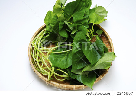 potato leaves, island vegetables, ryukyu cuisine 2245997