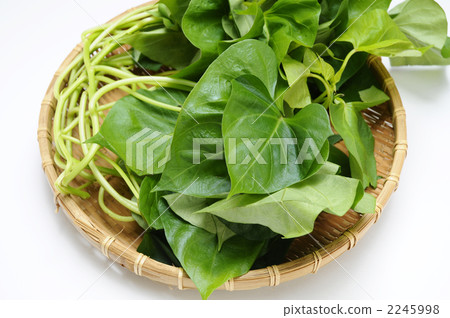 potato leaves, island vegetables, food 2245998
