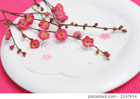 小白 小白 2247654