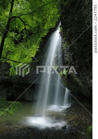 青葉的眼睛凝視著月亮等待的瀑佈在秋天瀑布的瀑布 2247795