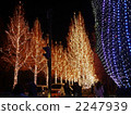 illuminated, illumination, illuminations 2247939