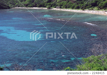 哈瑙瑪灣(Hanauma Bay) 哈瑙瑪灣(Hanauma Bay) 2248415