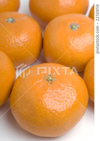 Orange Orange 2250858