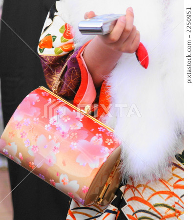 Red blur handbag 2250951