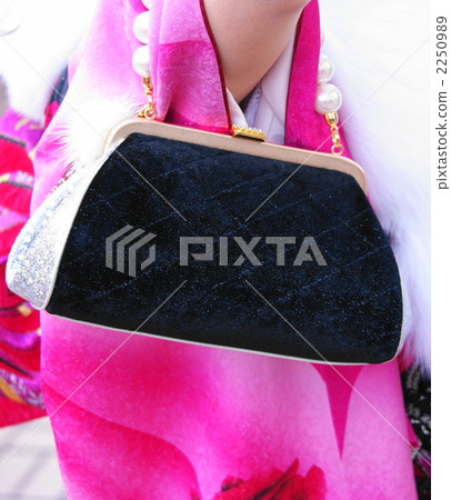 黑色手提包 2250989