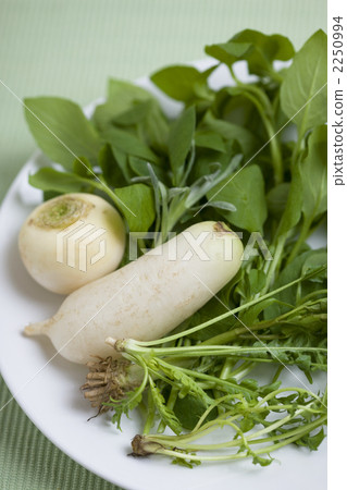 Seven herbs of spring Seven herbs of spring 2250994