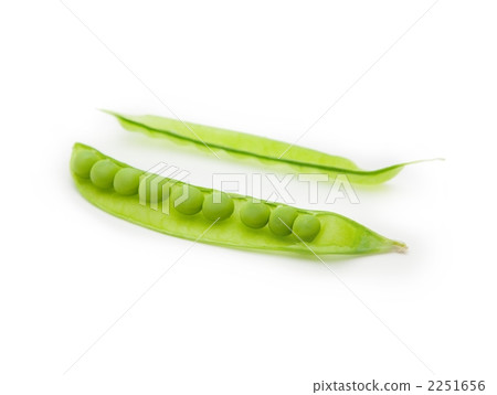 Open pea 2251656