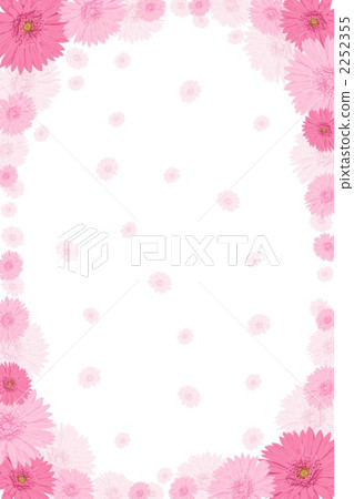 Gerbera 2252355
