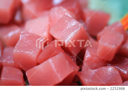 Squirrel cut of mehimagimero Squirrel cut of mehimagimero 2252986