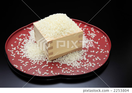 一杯和一米飯 2253804