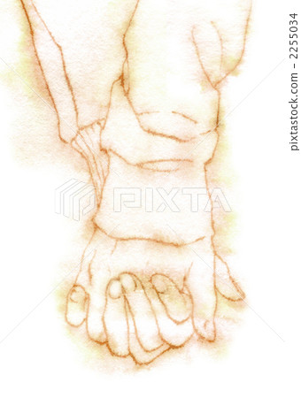 手牽手 身體部位 烏賊 2255034