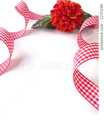 Calendula and check ribbon 4 2255296