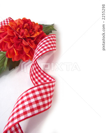 Calendula and check ribbon 5 2255298