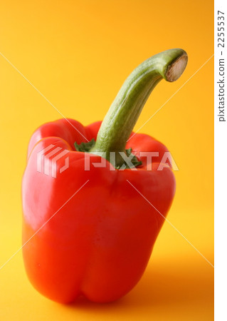 Red paprika 2255537