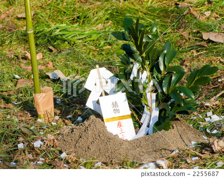 ground-breaking ceremony, offering, spade 2255687