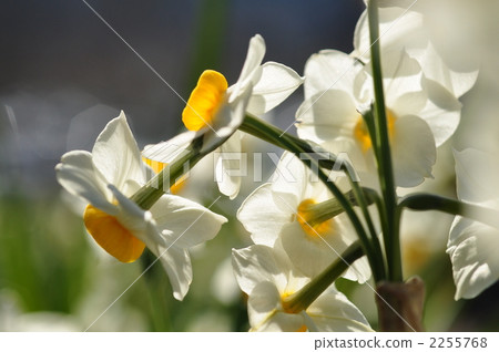 Lost Water Senso Township Lost Water Senso Township 2255768