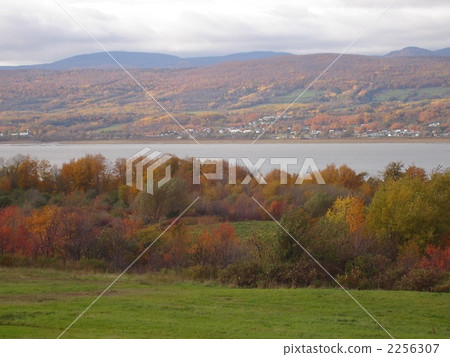 Autumn leaves of Orleans 2256307