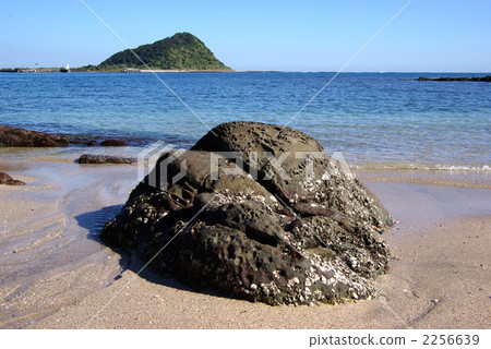 Nichinan coastal rocks 2256639