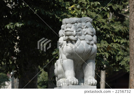 石獅 石獅子 小田原神社 2256732