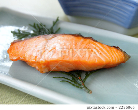 醃鮭魚 生魚片 刺身 2256965