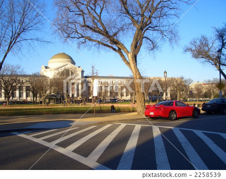 National Museum of Natural History 2258539