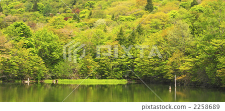 chausuyama kogen, serinuma pond, pond 2258689