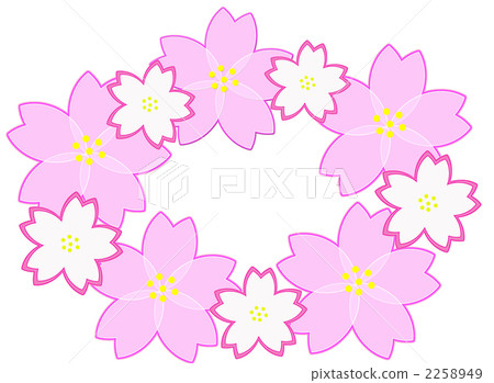 cherry blossom, cherry tree, bloom 2258949
