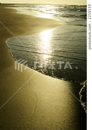 發光的波浪 2259150