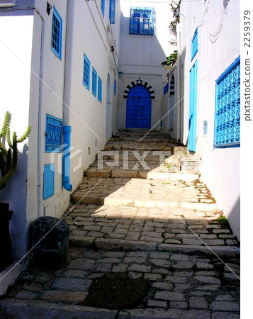 Alley of Tunis City alley (Tunisia) 2259379