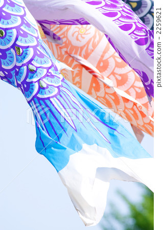 鯉魚旗 鯉魚旗 2259621