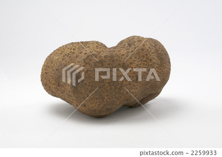 Yamanoyo Yamanoyo 2259933