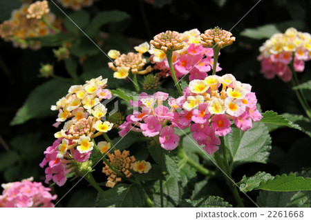 Seven changes of street corners Seven changes of street corners 2261668