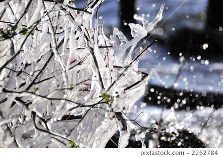 Splash ice Splash ice 2262784