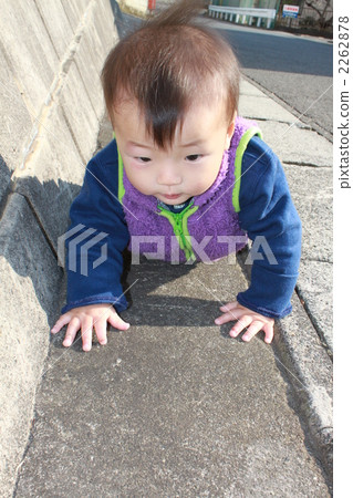 baby, infant, human 2262878