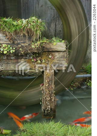 Water mill and carp 2263044