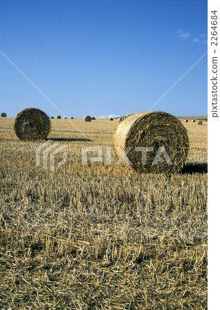 82786 Scotland United Kingdom 2264684
