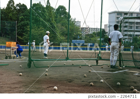 蓋奇諾克（八千代高中校園/千葉縣八千代市南勝田台1-1-1） 2264711