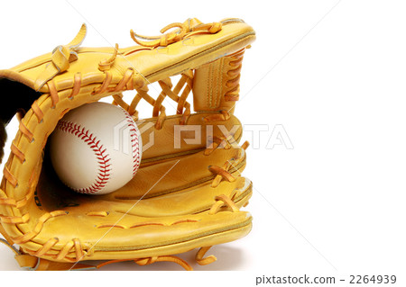 baseball equipment, baseball supply, glove 2264939